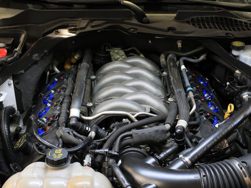 aFe - aFe 11 - 16 Ford Mustang GT / 11 - 16 Ford F150 SCORCHER High - Performance Ignition Coil Single - Demon Performance