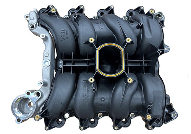 Ford Racing - Ford Racing 01 - 04 Mustang GT 4.6L SOHC 2V Perf Improvement Intake Manifold (Req Manifold Gasket Set) - Demon Performance