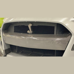 Ford Racing - Ford Racing 20 - 21 Mustang GT500 Carbon Fiber Bumper Insert - Demon Performance
