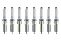 Ford Racing - Ford Racing 21 - 25 F - 150 5.0L Coyote (w/Variable Displacement) Cold Spark Plug Set - Demon Performance