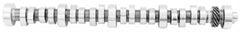 Ford Racing - Ford Racing Small Block V - 8 Hydraulic Roller Tappet Camshafts - Demon Performance