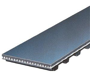 Gates - Gates 09 - 10 Dodge Challenger SE / 06 - 10 Charger SE/SXT Automotive Timing Belt - Demon Performance