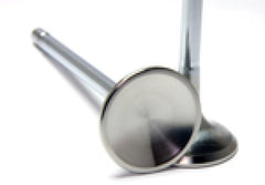 GSC Power Division - GSC P - D 2015+ Subaru WRX FA20F 21 - 4N Stainless Intake Valve - 34mm Head (STD) - SET 8 - Demon Performance