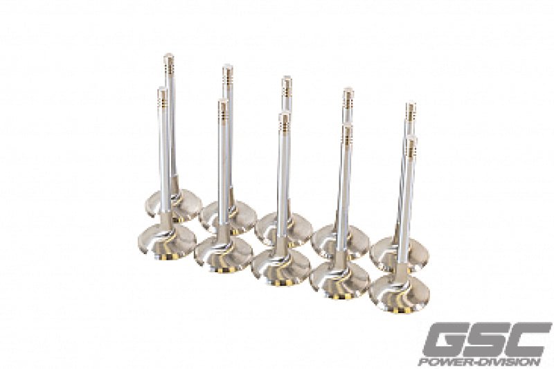 GSC Power Division - GSC P - D Audi DAZA 33.9mm Head STD 104mm Long Chrome Polished Intake Valve - Set of 10 - Demon Performance