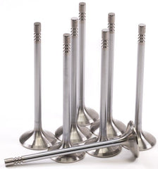 GSC Power Division - GSC P - D Ford Mustang 5.0L Coyote Gen 3 32mm Head (STD) Chrome Polished Exhaust Valve - Set of 8 - Demon Performance