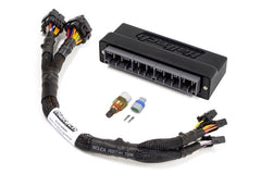 Haltech - Haltech 00 - 04 Honda S2000 (AP1/2005 AP2) Elite 1000/1500 Plug - n - Play Adaptor Harness - Demon Performance