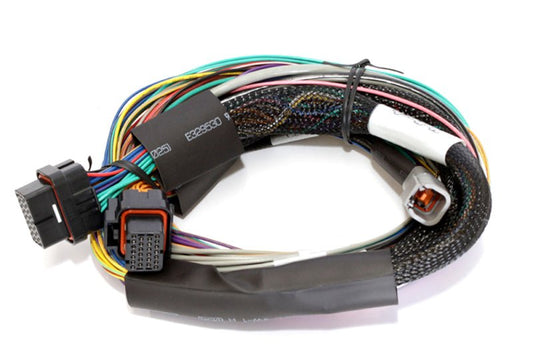 Haltech - Haltech Elite 1500 8ft Basic Universal Wire - In Harness (Excl Relays or Fuses) - Demon Performance