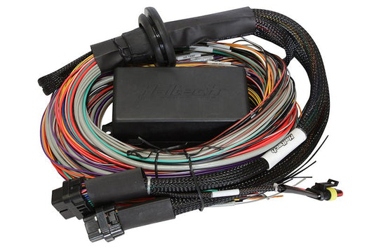 Haltech - Haltech Elite 1500 8ft Premium Universal Wire - In Harness - Demon Performance