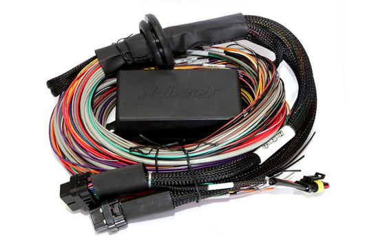 Haltech - Haltech Elite 2500 & 2500 T 8ft Premium Universal Wire - In Harness - Demon Performance