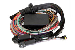 Haltech - Haltech Elite 2500 & 2500 T 8ft Premium Universal Wire - In Harness - Demon Performance