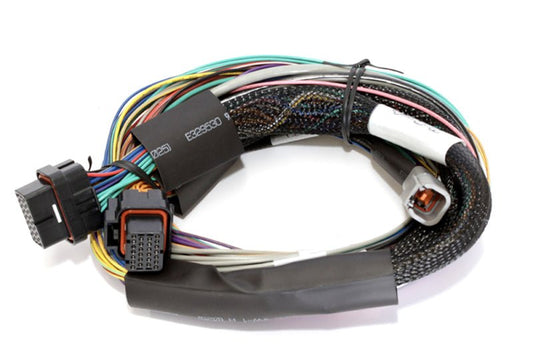Haltech - Haltech Elite 2500 8ft Basic Universal Wire - In Harness (Excl Relays or Fuses) - Demon Performance
