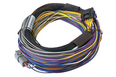 Haltech - Haltech Elite 750 8ft Basic Universal Wire - In Harness - Demon Performance