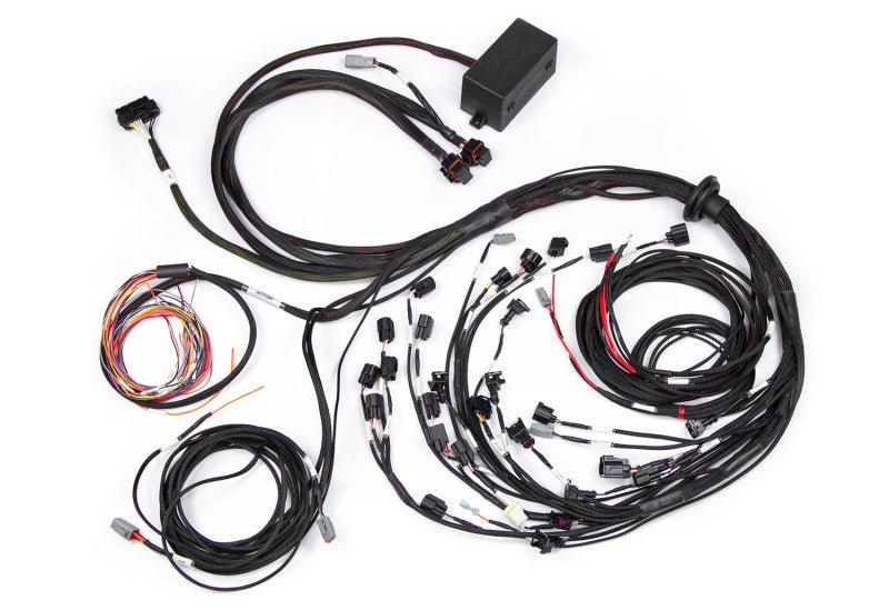 Haltech - Haltech Ford Falcon BA/BF Barra 4.0 Elite 2500 Terminated Harness w/EV1 Injector Connectors - Demon Performance