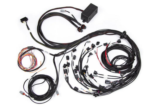 Haltech - Haltech Ford Falcon BA/BF Barra 4.0 Elite 2500 Terminated Harness w/EV1 Injector Connectors - Demon Performance