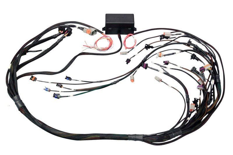 Haltech - Haltech GM GEN III LS1 & LS6 (Non DBW) Elite 2000/2500 Terminated Harness w/EV1 Injector Connectors - Demon Performance