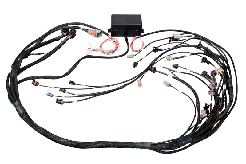 Haltech - Haltech GM GEN IV LSX (LS2/LS3) DBW Ready Elite 2500 Terminated Harness w/EV1 Injector Connectors - Demon Performance