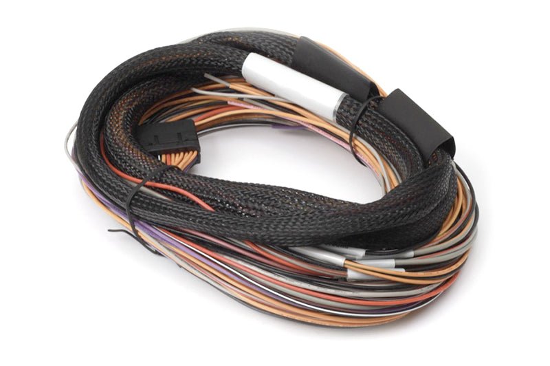 Haltech - Haltech IO 12 Expander Box 8ft Flying Lead Harness (A/B Box) - Demon Performance