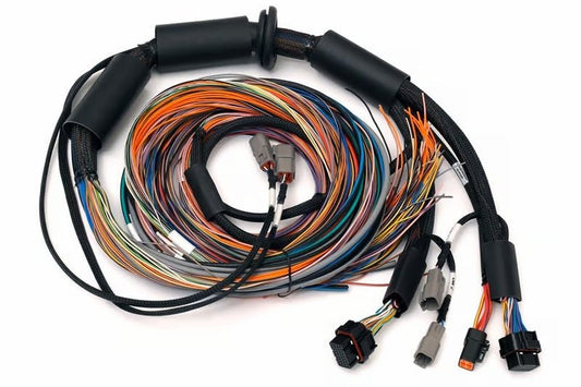 Haltech - Haltech NEXUS R3 Universal Wire - In Harness - 2.5M (8ft) - Demon Performance