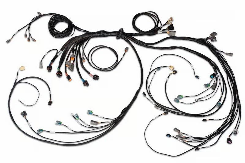 Haltech - Haltech Nexus R5 LSx DBW Terminated Harness - DBW Ready (Injector Connector: EV6) - Demon Performance