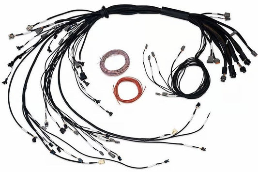 Haltech - Haltech Nexus R5 LSx Non DBW Terminated Harness - Demon Performance