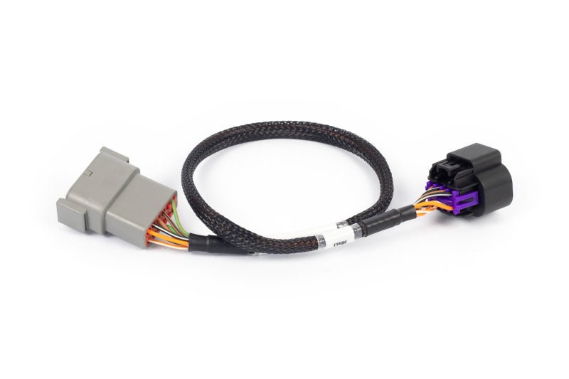 Haltech - Haltech NEXUS Rebel LS 8 - Pin DBW Adaptor (Plug - n - Play w/HT - 186500) - Demon Performance