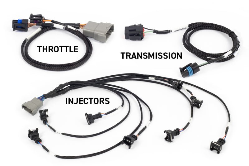 Haltech - Haltech NEXUS Rebel LS Kit (Suits Gen III) Cable Throttle/EV1 Injectors/Manual Transmission - Demon Performance