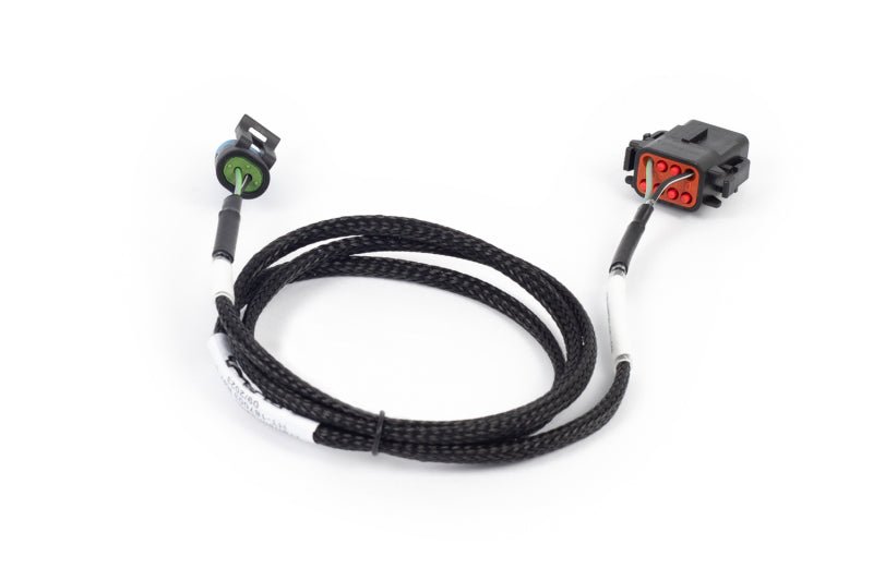Haltech - Haltech NEXUS Rebel LS T56 Transmission Harness (Plug - n - Play w/HT - 186500) - Demon Performance