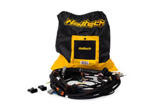 Haltech - Haltech NEXUS Rebel LS Terminated Harness for ECU - Demon Performance