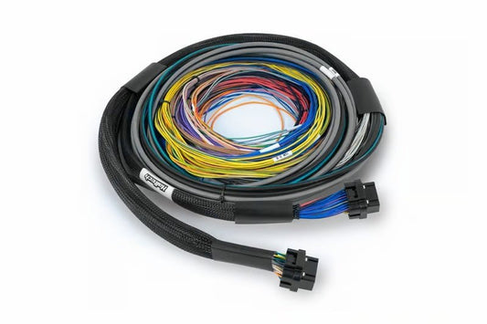 Haltech - Haltech NEXUS S2/S3 Universal Wire - In Harness Kit - 2.5M (8ft) - Demon Performance
