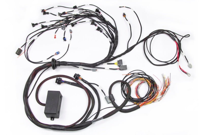 Haltech - Haltech Nissan RB Elite 2000/2500 Terminated Engine Harness w/EV1 Injector Connectors - Demon Performance