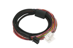 Haltech - Haltech /Sport GM Plug - In 8ft Auxiliary I/O Harness - Demon Performance