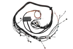 Haltech - Haltech Toyota 2JZ Elite 2000/2500 Terminated Engine Harness - Demon Performance