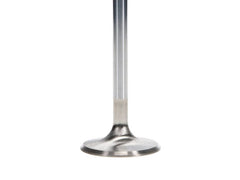 Manley Performance - Manley Ford 4.6L DOHC (4 Valve) Triple Groove 37mm Race Master Intake Valves - Single - Demon Performance