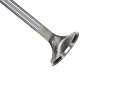 Manley Performance - Manley Ford Modular Coyote 5.0L Gen III Race Master Series Exhaust Valve Set - 1.260in Dia - Demon Performance