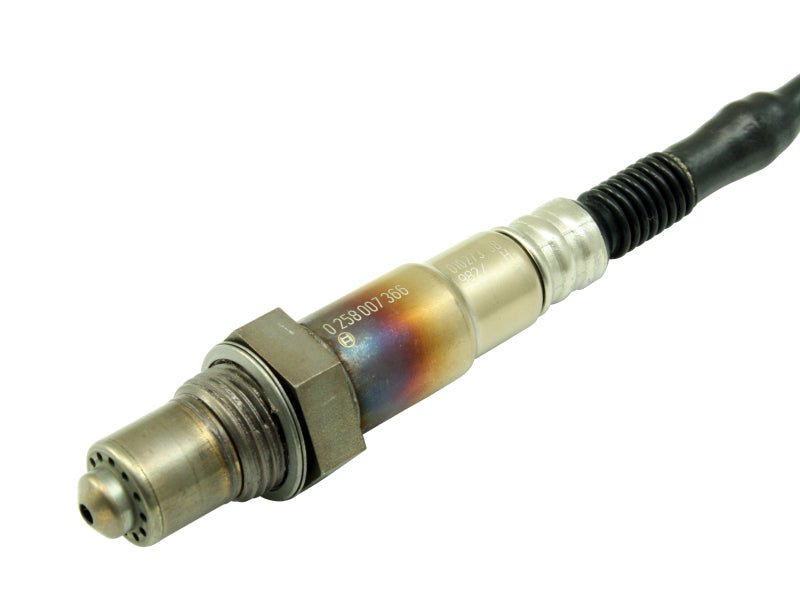 AEM - AEM Bosch UEGO Replacement Sensor - Demon Performance