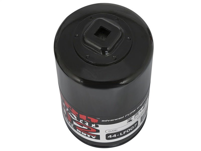 aFe - aFe Pro GUARD D2 Oil Filter 97-08 Ford Trucks V6 4.2L / V8 4.6L (4 Pack) - Demon Performance
