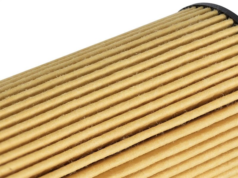 aFe - aFe Pro GUARD HD Oil Filter 2018 Jeep Wrangler (JL) V6 3.6L - Demon Performance