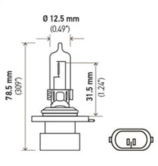 Hella - Hella 9005XS 12V 65W Xen White Bulb (Pair) - Demon Performance