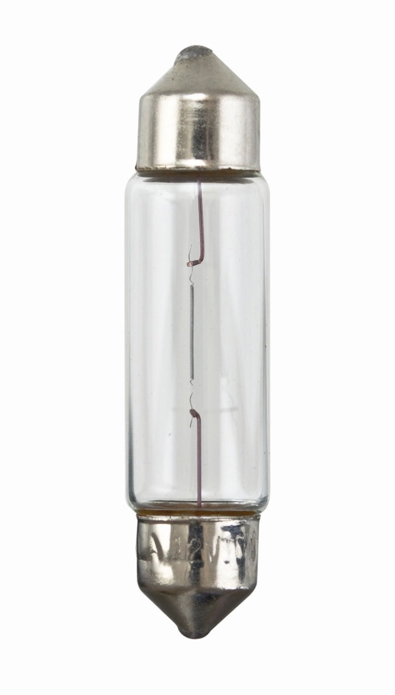 Hella - Hella Bulb 6411 12V 10W Sv858 T325 10X41(2) - Demon Performance