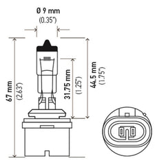 Hella - Hella Bulb 880 12V 27W PG13 T3.25 - Demon Performance