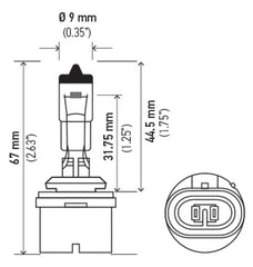 Hella - Hella Bulb 880 12V 32W Xen Wht Xb (2) - Demon Performance