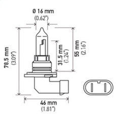 Hella - Hella Bulb 9005 12V 65W P20D T4 +50 (2) - Demon Performance