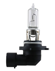 Hella - Hella Bulb 9005 12V 65W P20D T4 +50 - Demon Performance