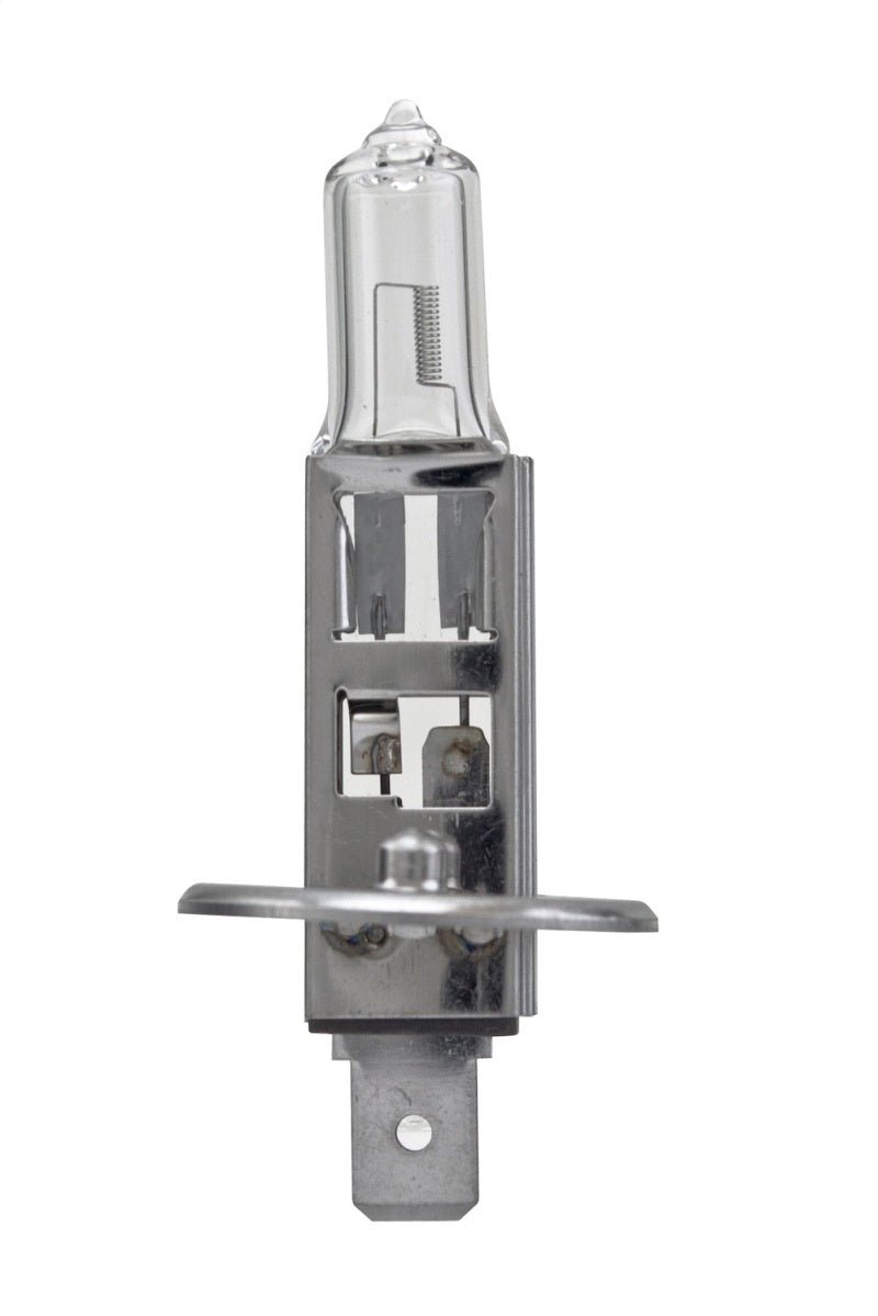 Hella - Hella Bulb H1 12V 55W P145S T25 +50 (2) - Demon Performance