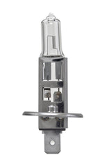 Hella - Hella Bulb H1 12V 55W P145S T25 +50 (2) - Demon Performance