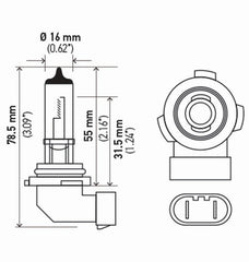 Hella - Hella Bulb H10/9145 12V 45W Py20D T4 (2) - Demon Performance