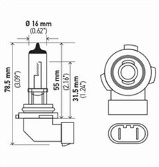 Hella - Hella Bulb H10/9145 12V 45W Py20D T4 Sb - Demon Performance