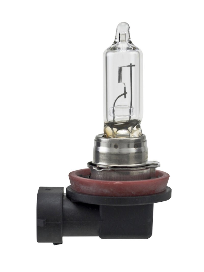 Hella - Hella Bulb H9 12V 65W Pgj195 T4 (2) - Demon Performance
