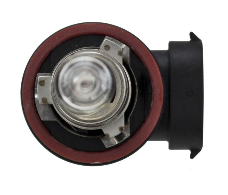 Hella - Hella H9 12V 65W PGJ19 - 5 HP 2.0 Halogen Bulbs - Demon Performance