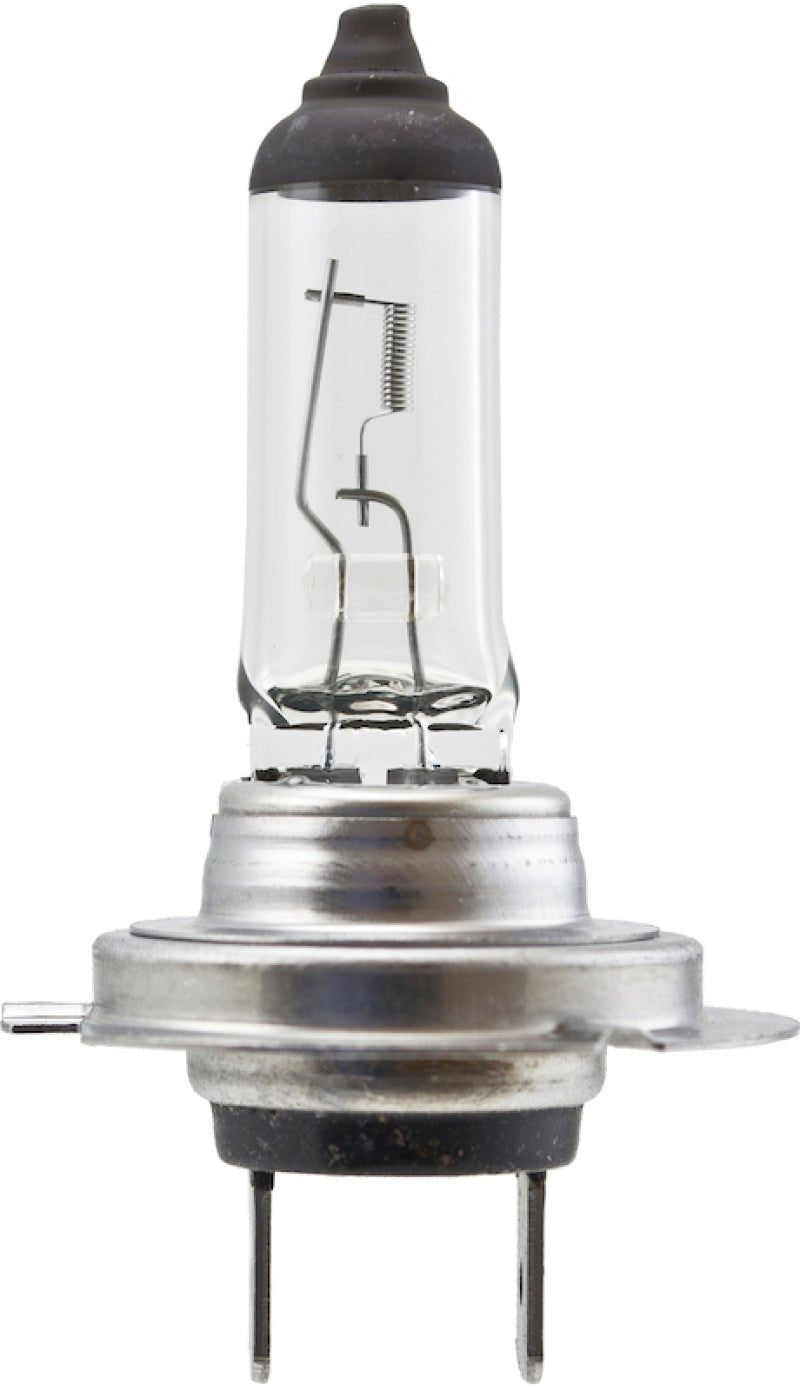 Hella - Hella High Wattage Bulb H7 12V 100W PX26d T4.6 - Demon Performance